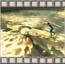 Film